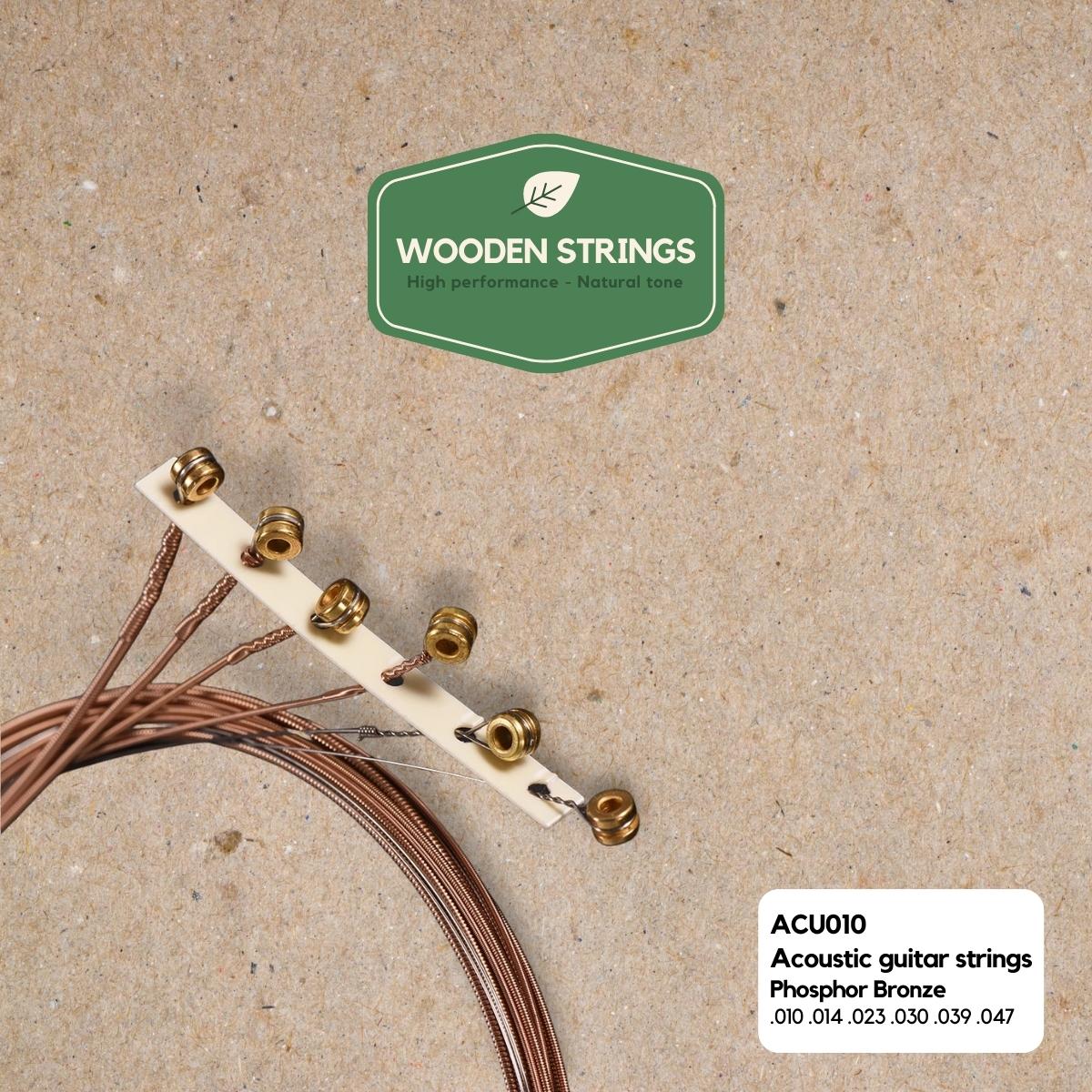 Wooden Strings ACU010 Acoustic Guitar Strings, 010-047