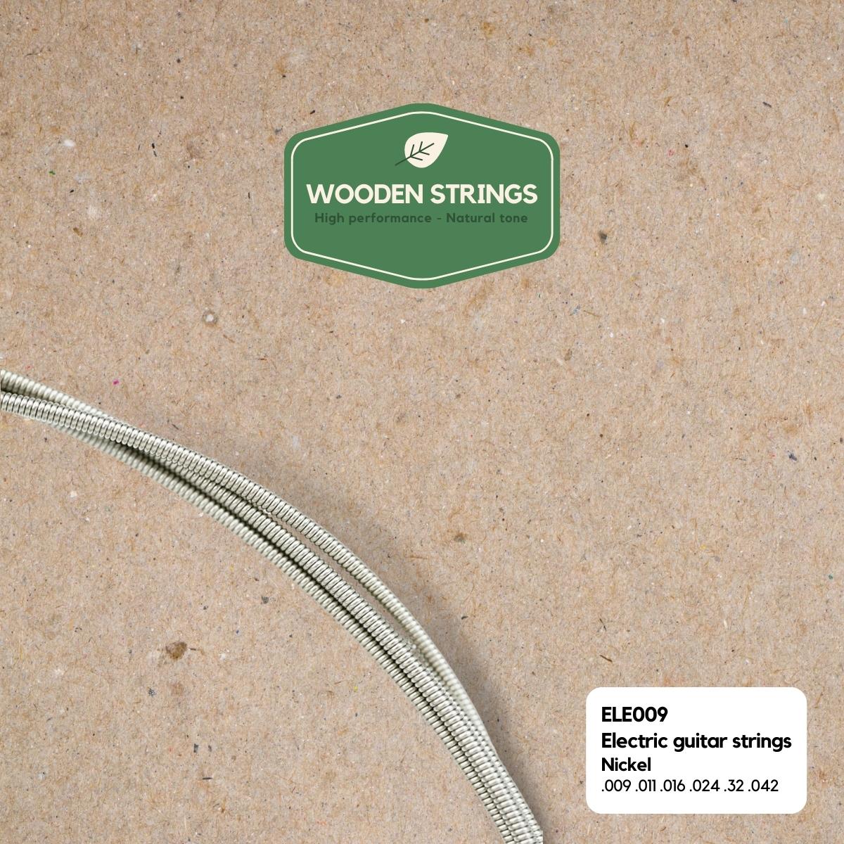 Wooden Strings ELE009 electric guitar strings, 009-042